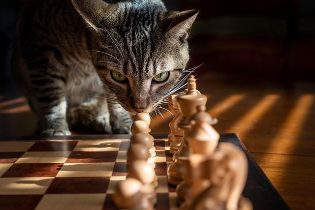 Advanced strategic concepts in chess